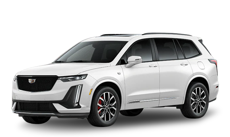 크리스탈 화이트 트리코트 익스테리어